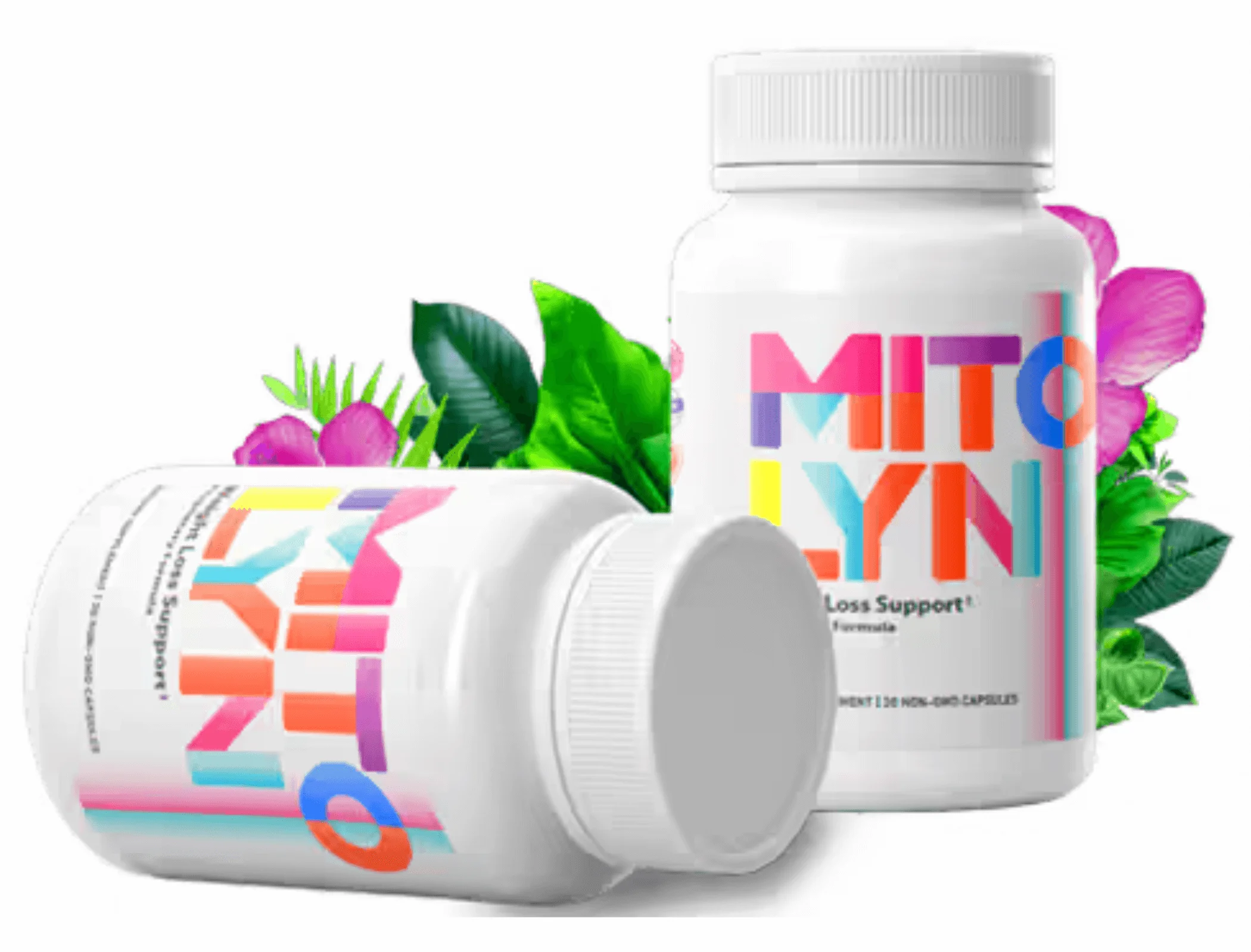 mitolyn order