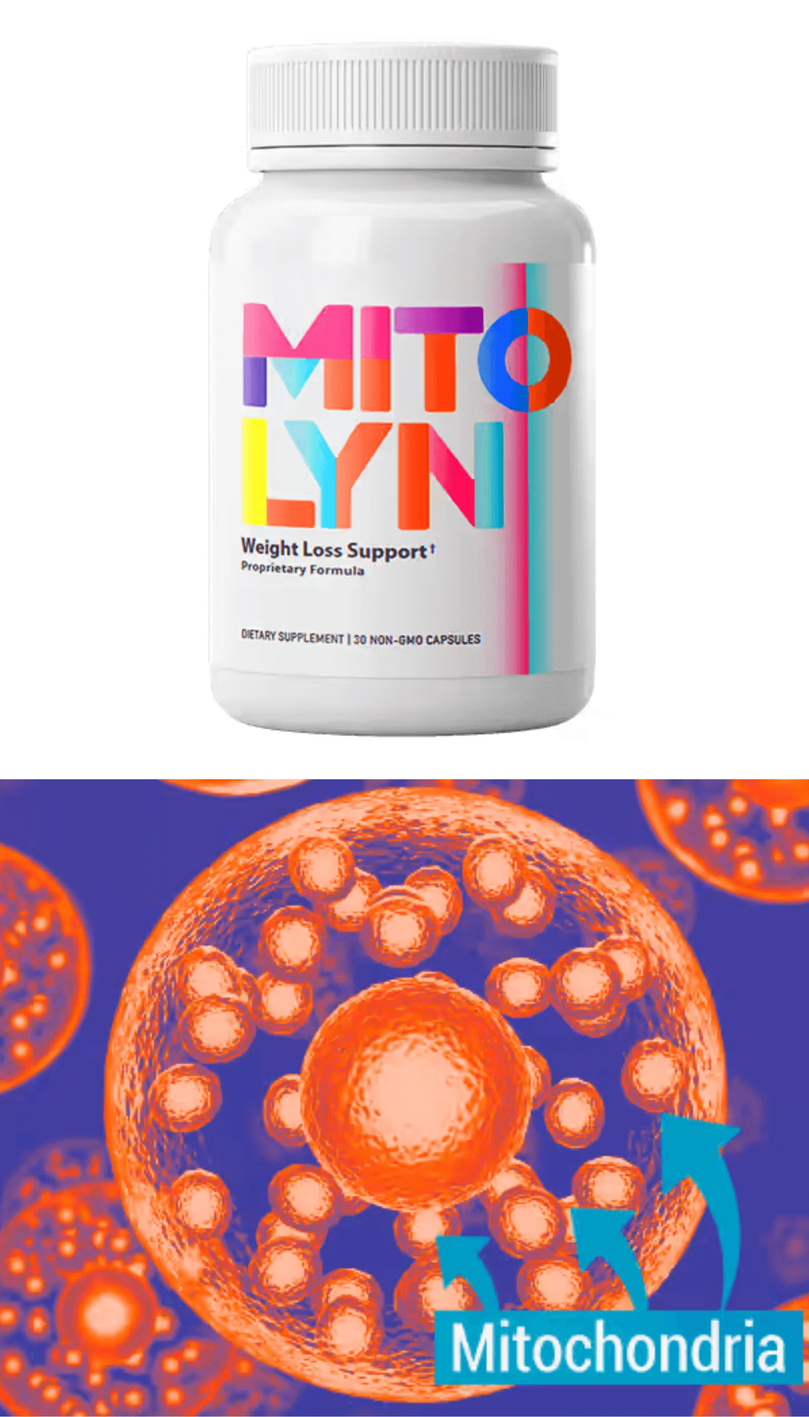 mitolyn supplement
